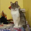 Отзыв от Яна Черепанова